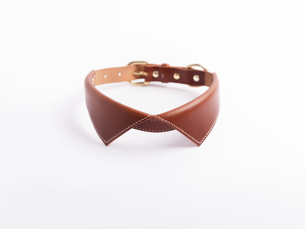 Tuxedo Shirt Style Leather Dog Collar