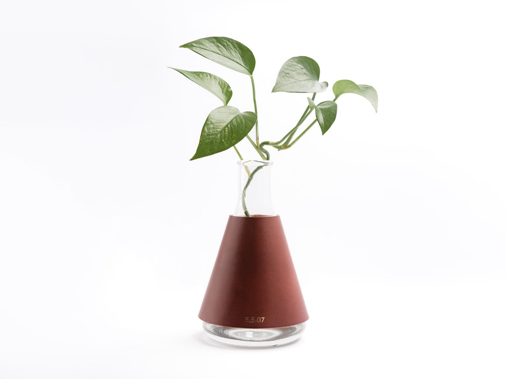 Lab Series Leather Wrapped Vases, Conical